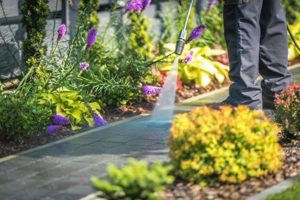 Best Patio and Deck Pressure Washing  in Closter, NJ