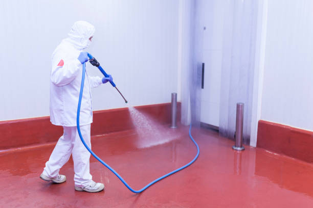 Best Rust Removal  in Closter, NJ